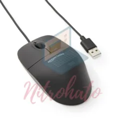 Computer Mouse in Ohio